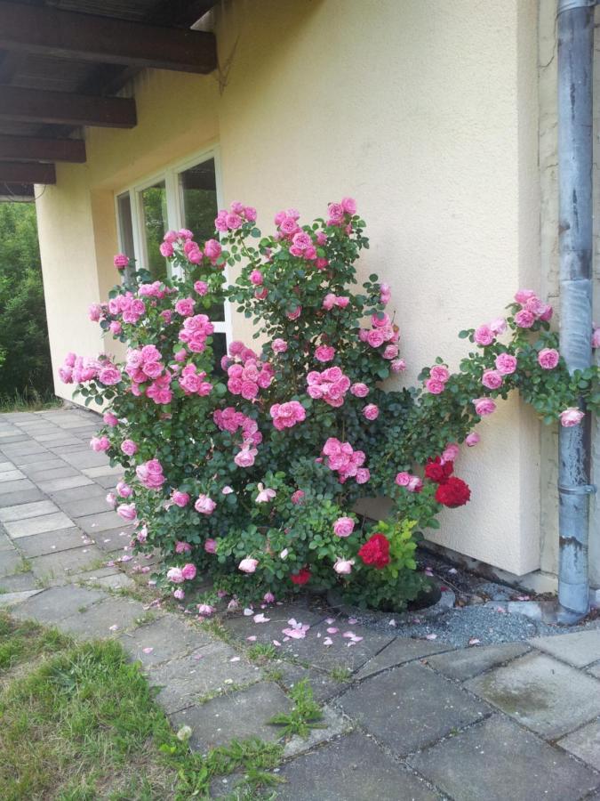 Ferienwohnung Am Spreeradweg Neusalza-Spremberg Buitenkant foto